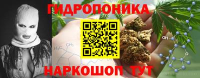 ALPHA PVP Малгобек