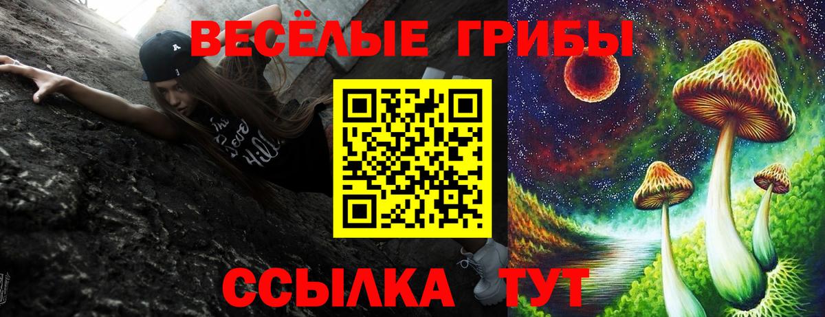 Псилоцибиновые грибы ЛСД  Галлюциногенные грибы прущие грибы  наркота  Вход с VPN  Соль-Илецк 